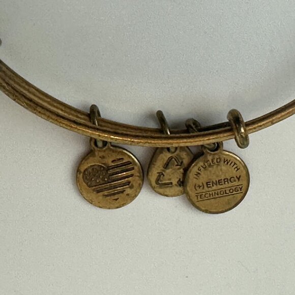2 - Alex And Ani Gold Finish Bangle Bracelet Quill Feather & Stand Up To Cancer - Picture 4 of 8
